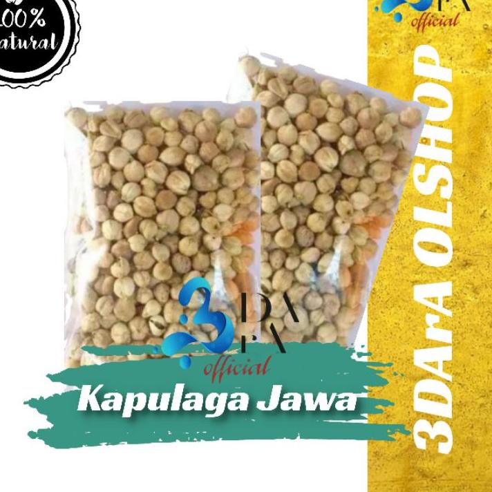 

COD Kapulaga Jawa 100gr - Kapulaga Lokal Premium !!!