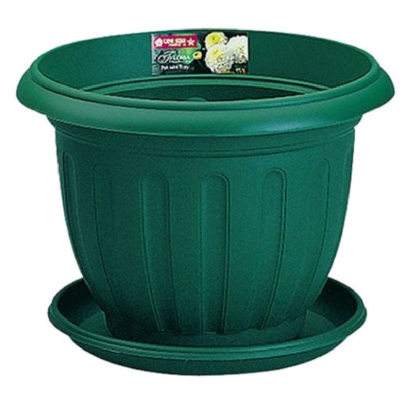 Pot Bunga Lion Star Lotus no.10 dan Tatakan Pot