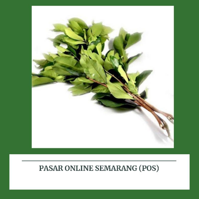 

Daun Salam / Godong Salam / Empon Empon /Bumbu Masakan / Penyedap Raya /Belanja Murah Semarang
