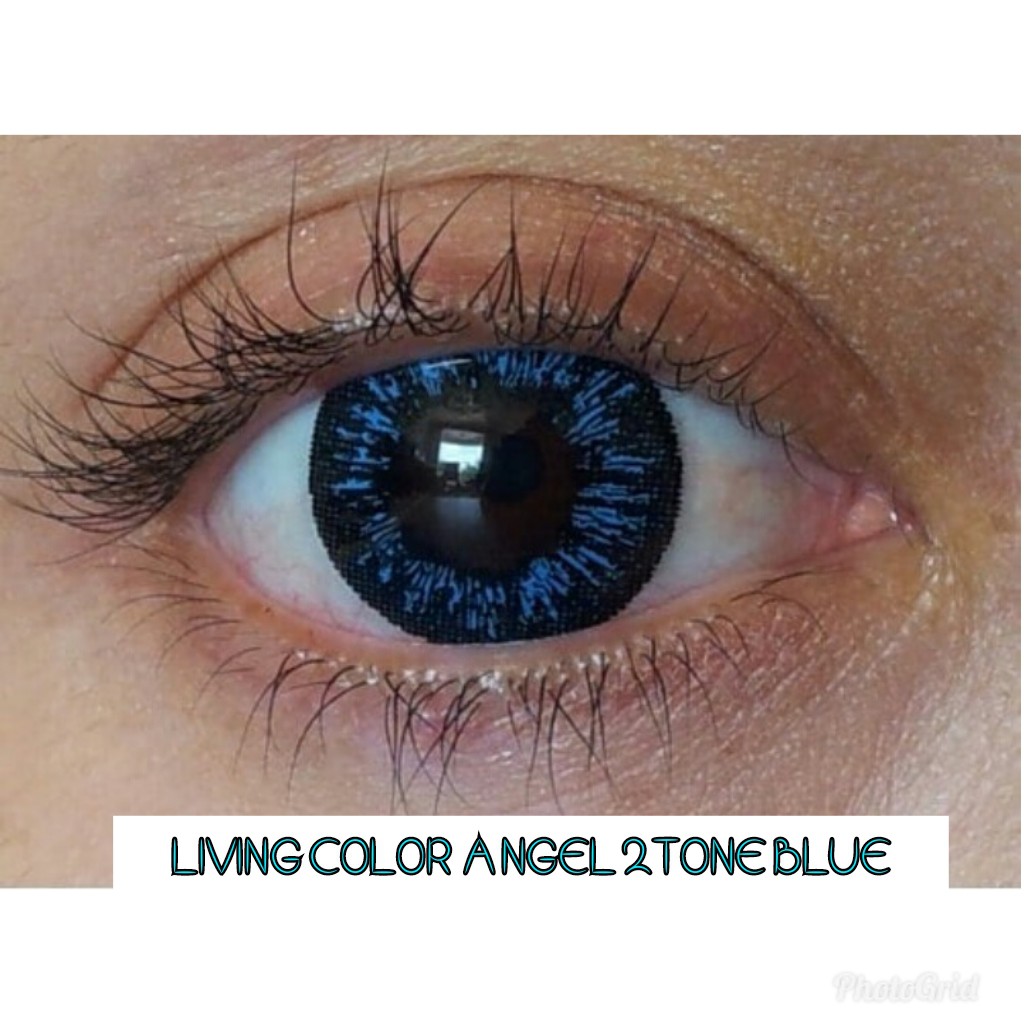 LIVING COLOR ANGEL 2TONE BLUE