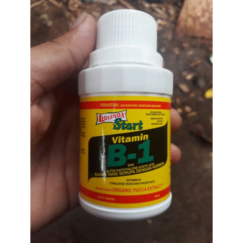 VITAMIN TANAMAN B1