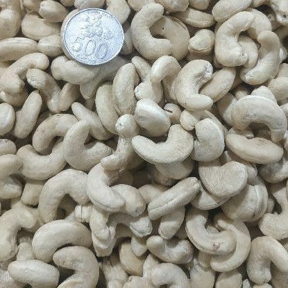 

kacang mede mentah jumbo 1kg pilihan