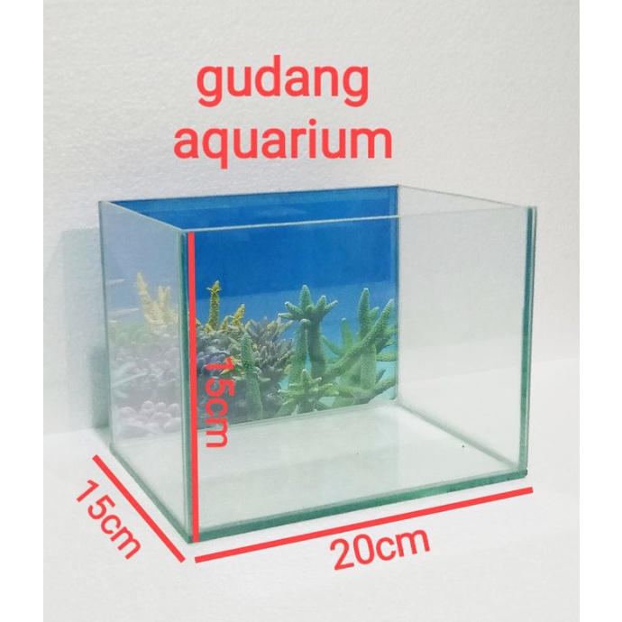 aquarium mini chana 20x15x15 + baground