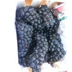 anggur Bali hitam 10kg/1 peti