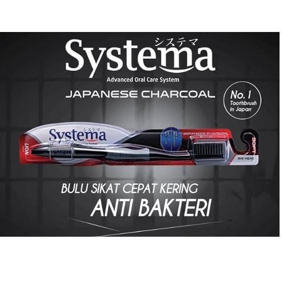 Systema Toothbrush Power Charcoal Regular Head &amp; Big Head