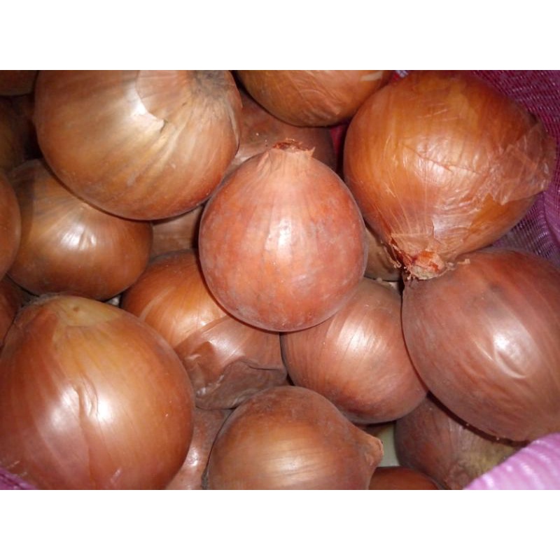 BAWANG BOMBAY UKURAN SEDANG 1KG