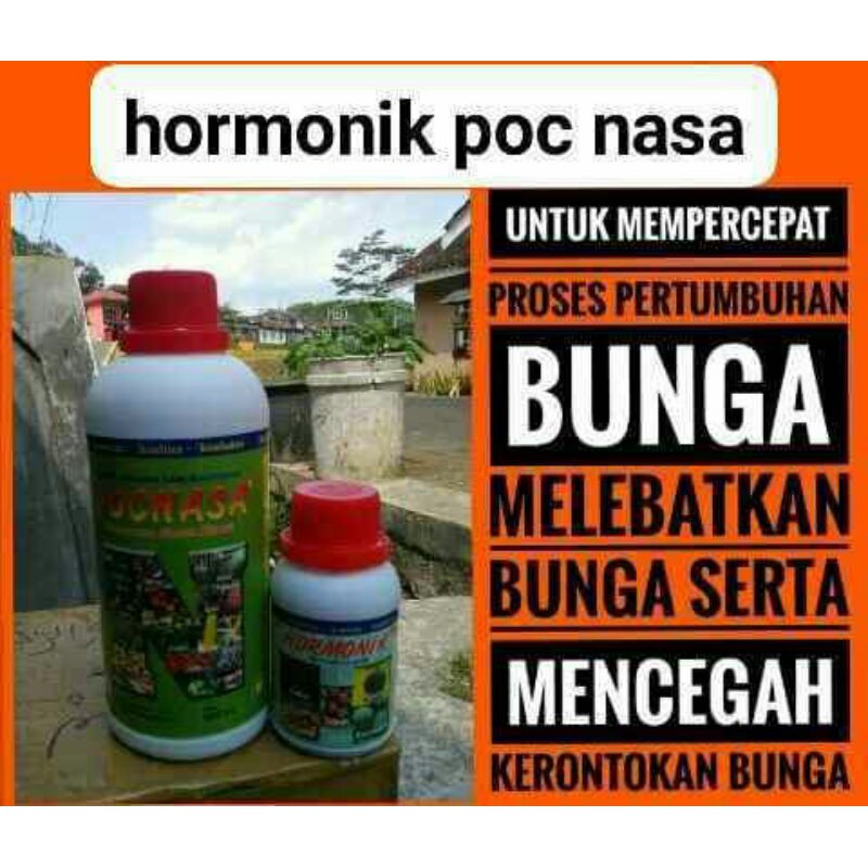 pupuk hormonik + Poc Nasa