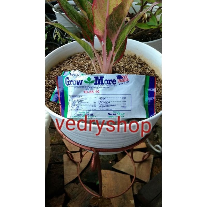 Pupuk daun Growmore 10-55-10 bunga dan buah