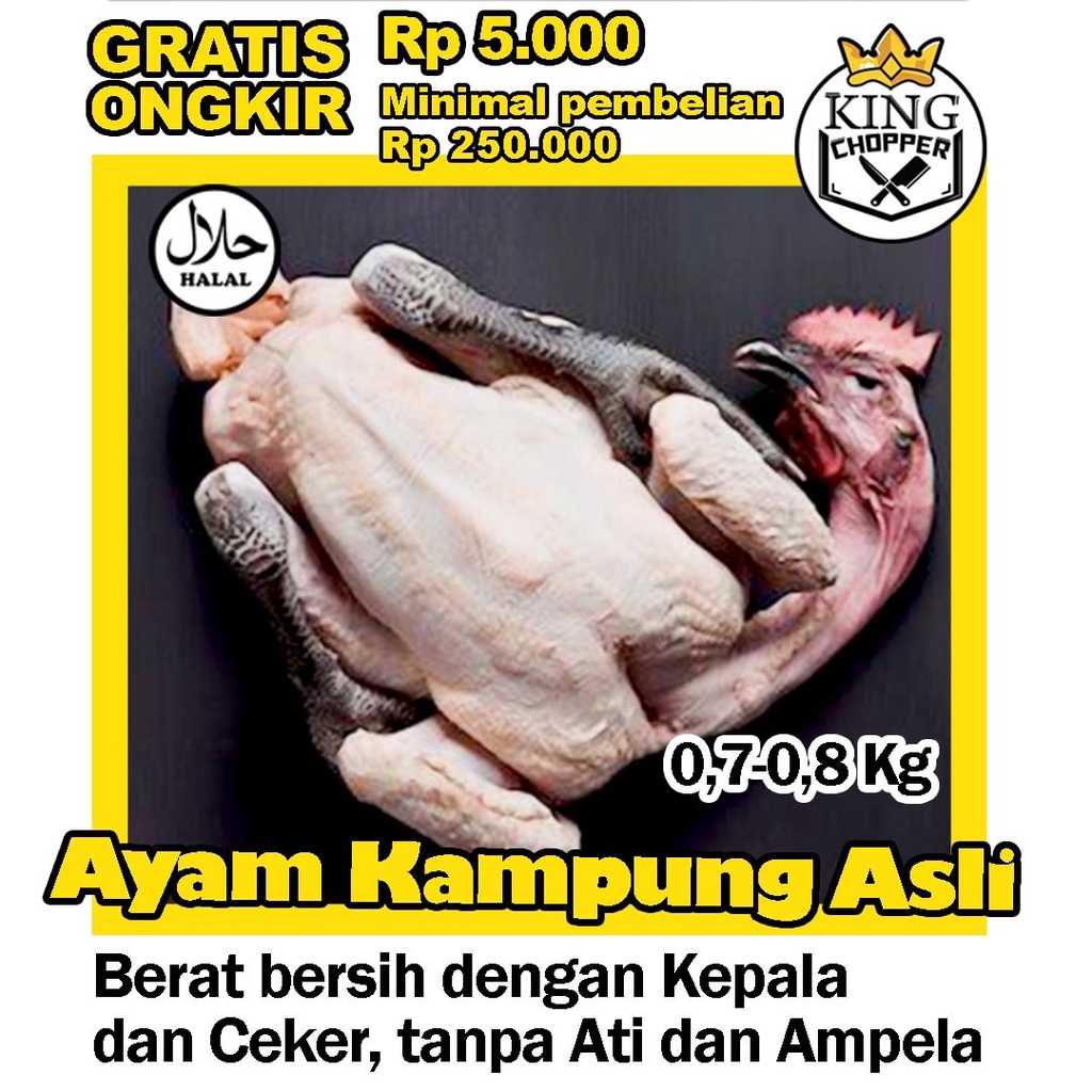 

AYAM KAMPUNG ASLI SEDANG 0.7 - 0.8 KG DAGING POTONG FROZEN BEKU FRESH UTUH KARKAS BROILER BEBEK MUDA