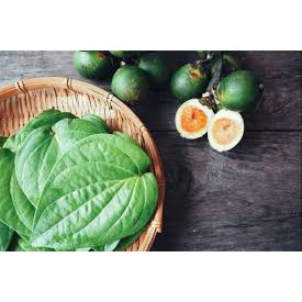 Terbaik Daun Sirih Fresh langsung Petik Dari Kebun | Daun Suruh Temu Ros | DAUN SIRIH KETEMU ROS SE