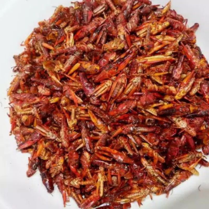 

Belalang Goreng Misdasem (Amis Lada Asem)