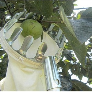 Metal Fruit Picker - Mata Galah Panen Buah