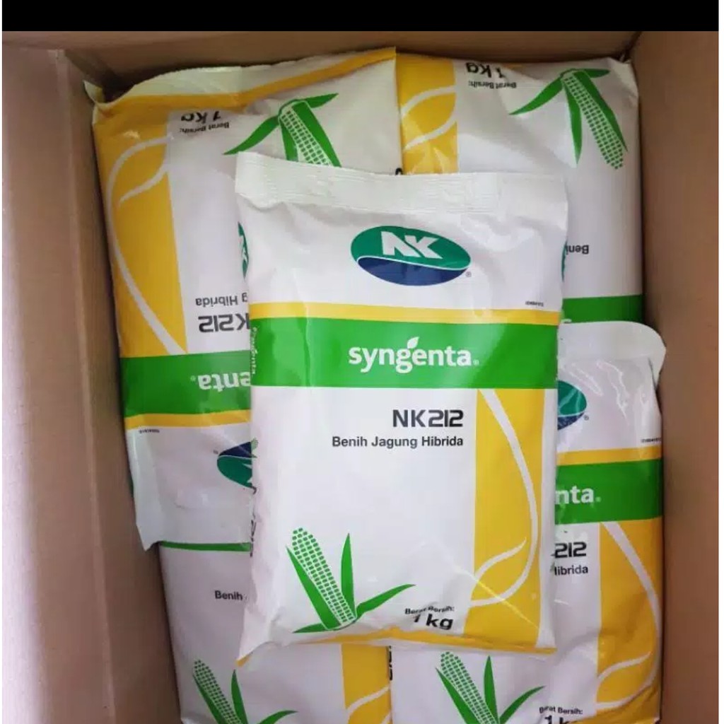 Benih Bibit Jagung Hibrida NK 212 1 Kg Syngenta