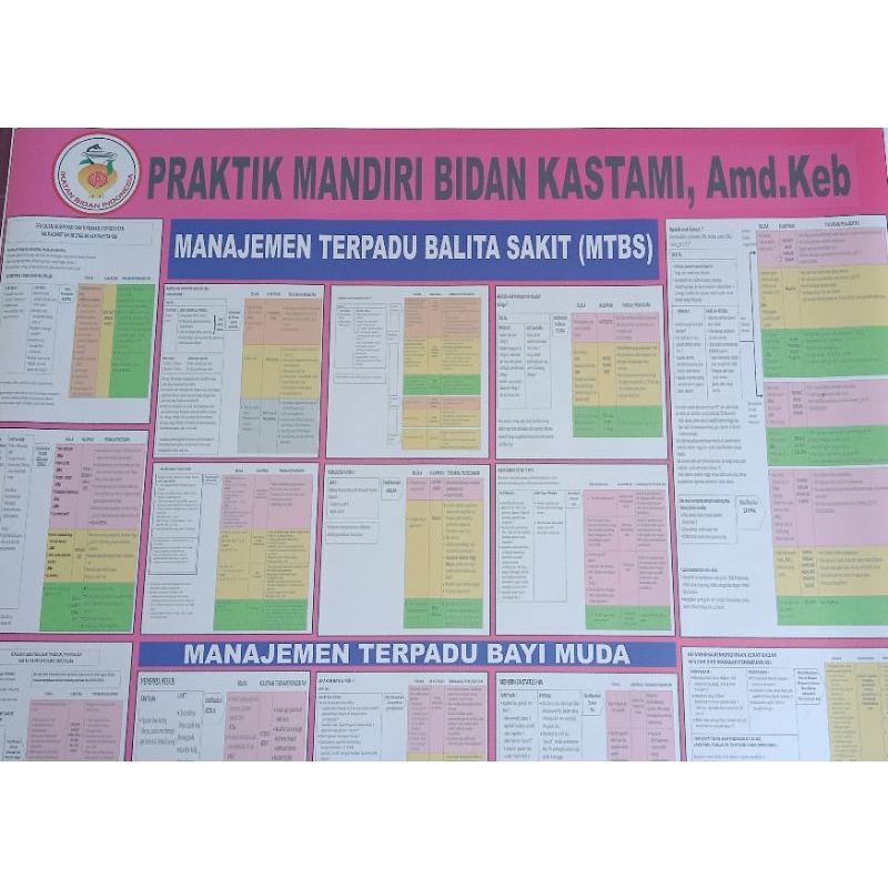 Bagan MTBS & MTBM untuk dokter perawat bidan