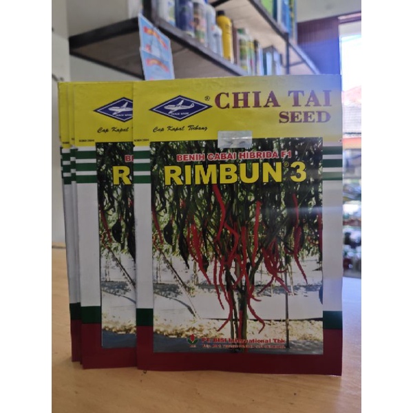 BENIH CABAI RIMBUN 3