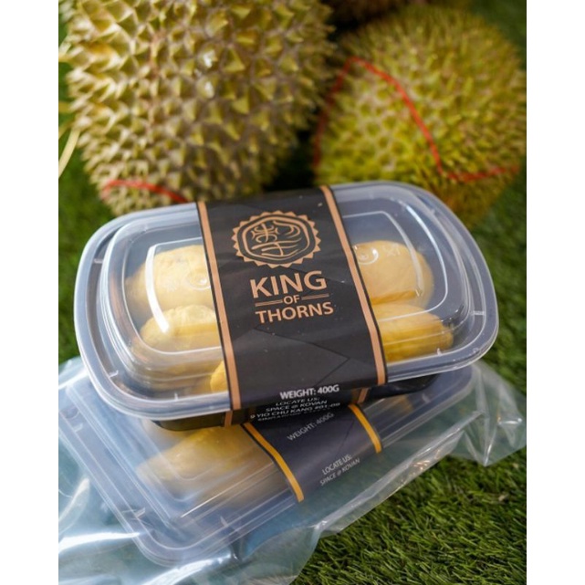 Bibit Durian Musangking Ukuran 1 meter