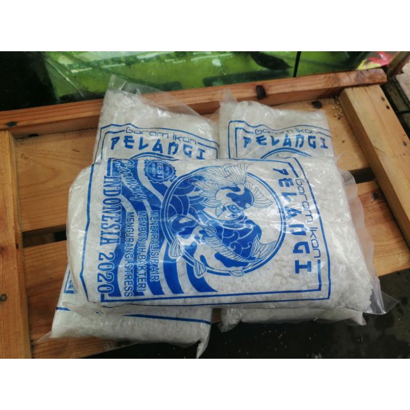 

GARAM IKAN PELANGI