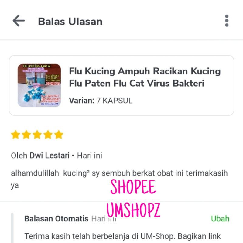 Flu Kucing Ampuh Paten Flu Care Kucing Flu Paten Flu Cat Virus Bakteri Kucing