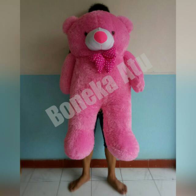 Boneka tedy bear jumbo giant besar pita besar / boneka teddy bear / boneka beruang