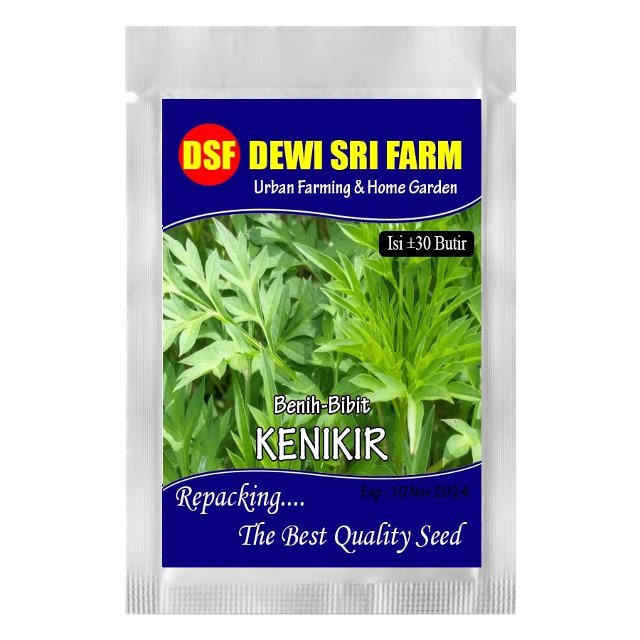 daun kenikir - ±30 biji benih bibit unggul kenikir 30biji