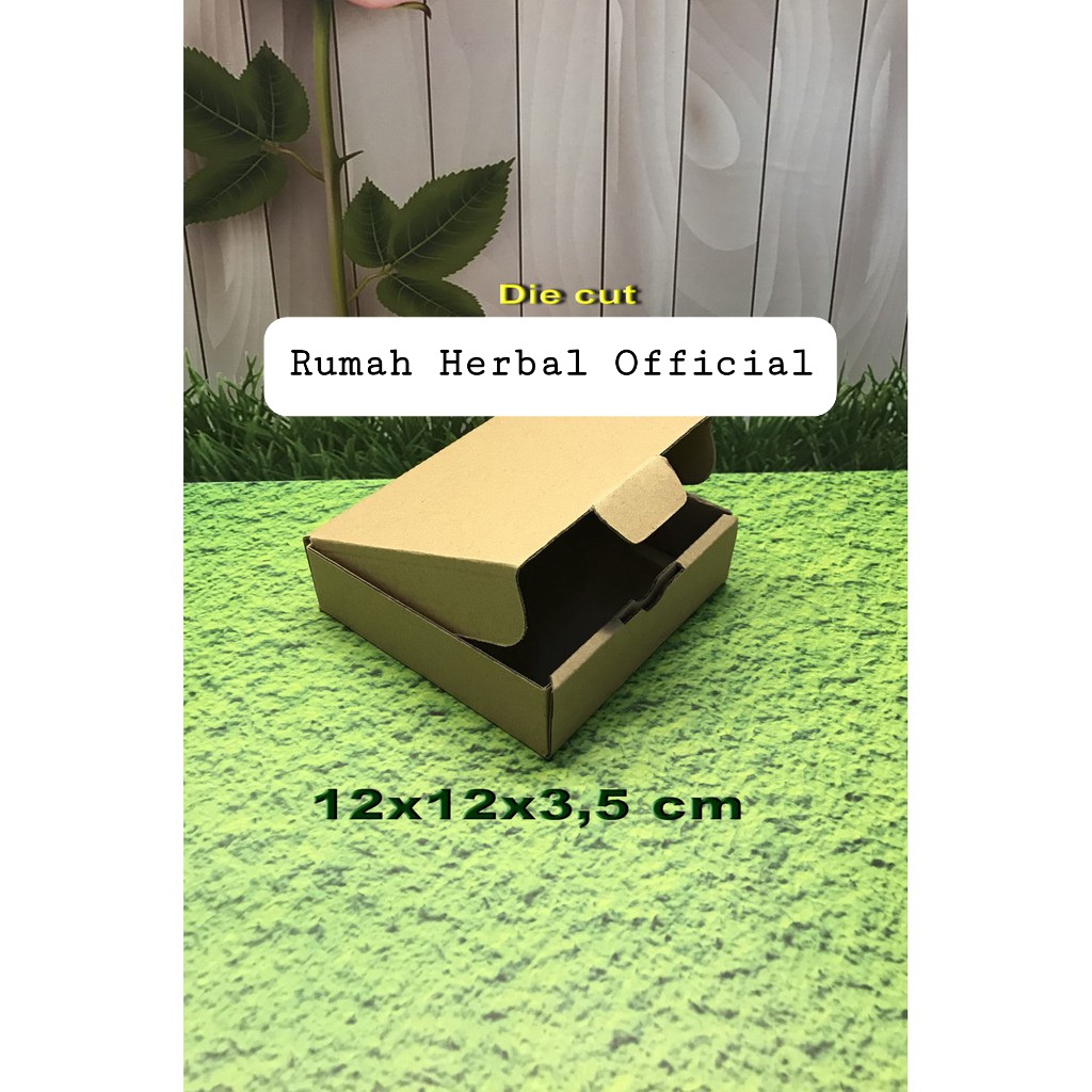 Box Packing Racak Herbal RHO Muat 10 - 16 Pcs Kardus Agar Kemasan Aman