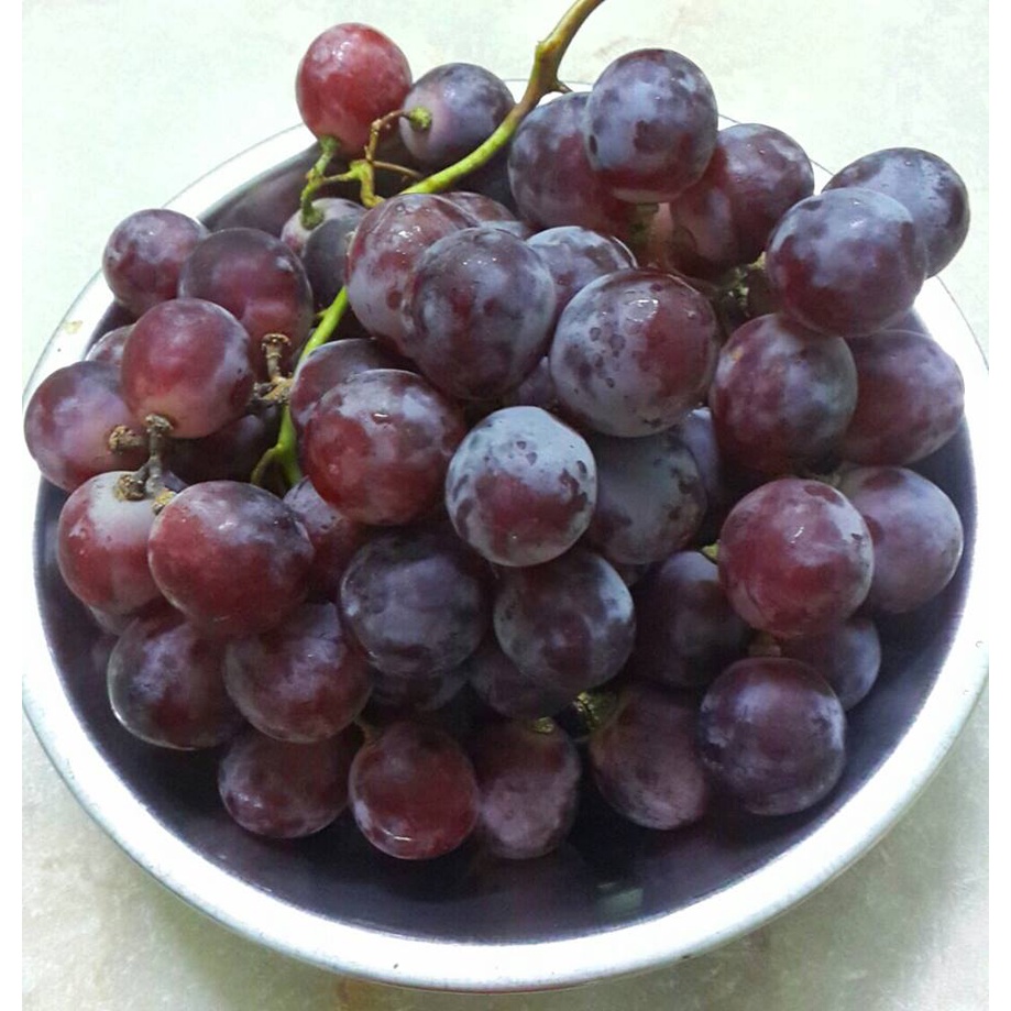 

Buah Anggur Merah/250gr