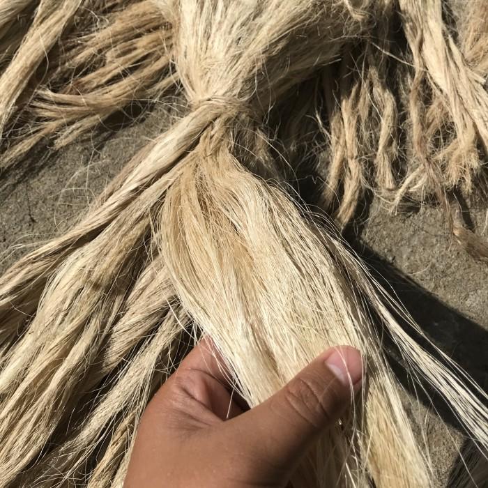 Serat Sisal / Serat Sisalana Agave / Serat Nanas Warna Coklat Merah Best Seller