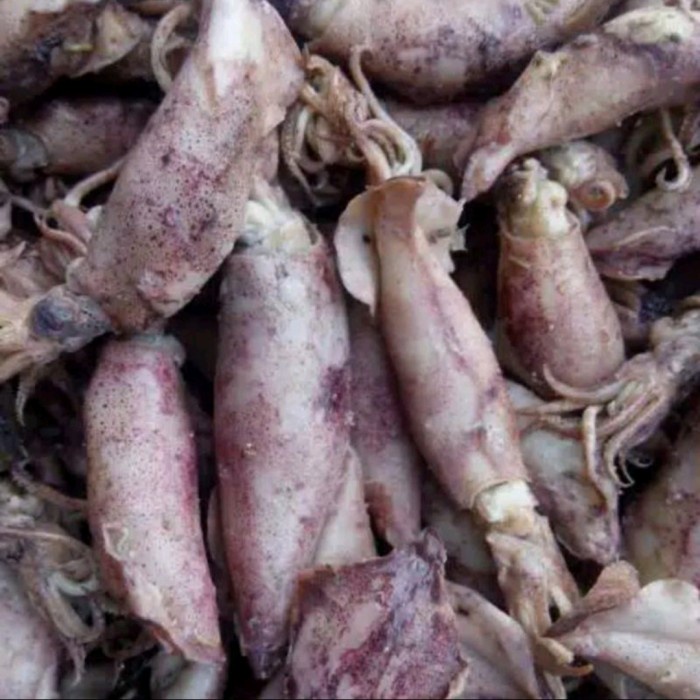 

IKAN ASIN CUMI 100gr
