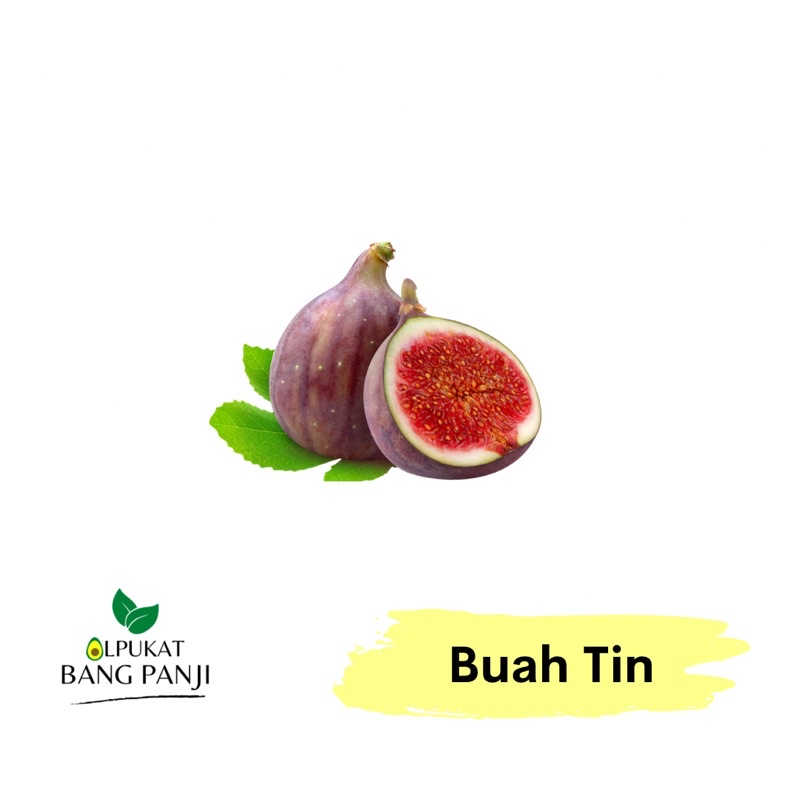 

ALPUKAT BANG PANJI - Buah Tin lokal(3buah)