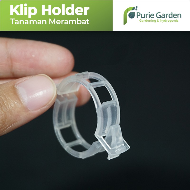 Clip Holder Klip Tanaman Merambat PG SBY