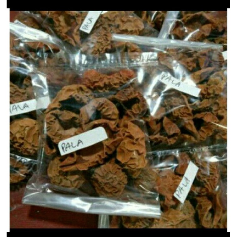 

rempah herbal daging pala original kmsan 100gram