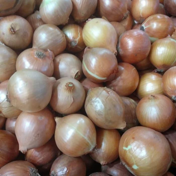 

BAWANG BOMBAY 1 KG