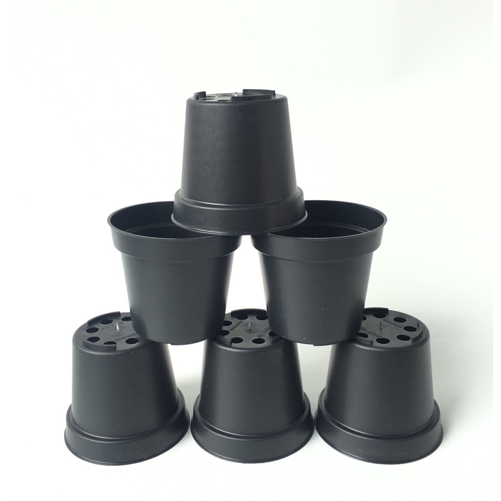 Zoetoys Pot 10 cm | Pot Bulat Bibit Tanaman Mini Plastik Kecil Hitam Murah Bisa Untuk Vas Bunga Kaktus Sukulen