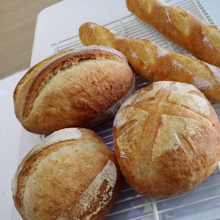 Sourdough plain, roti gandum sehat-2