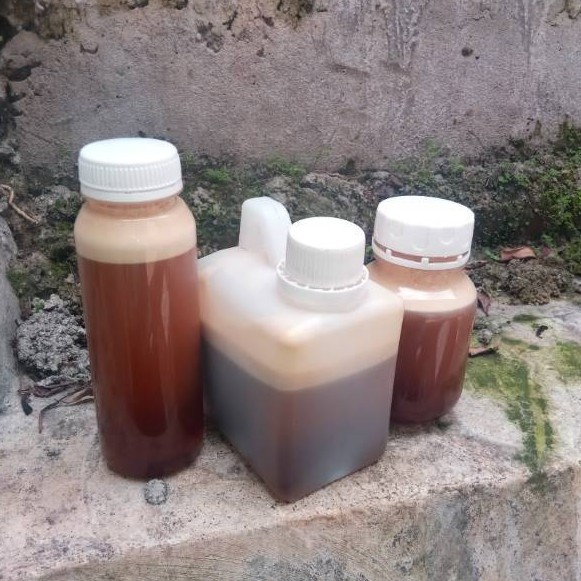 

Madu Kelanceng Pacita Netto 500g