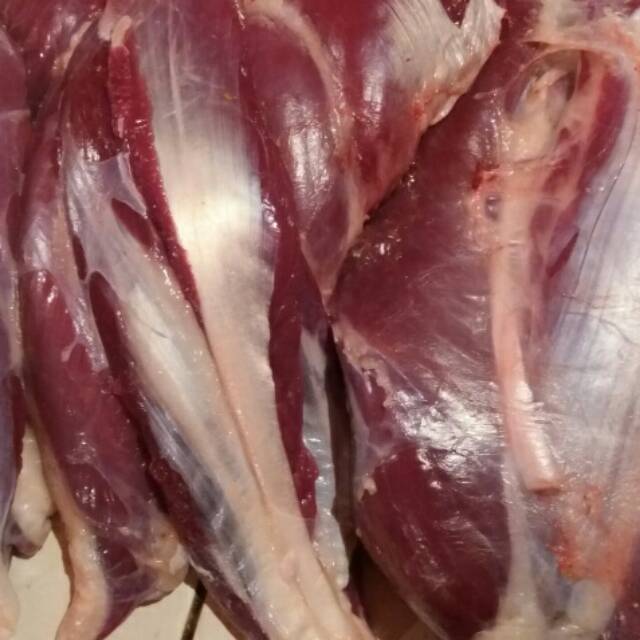 

Daging sapi - sengkel - otot - 500gram