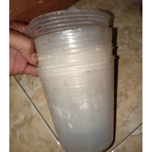 1 lusin pot soft polipot plastik anggrek ukuran dewasa