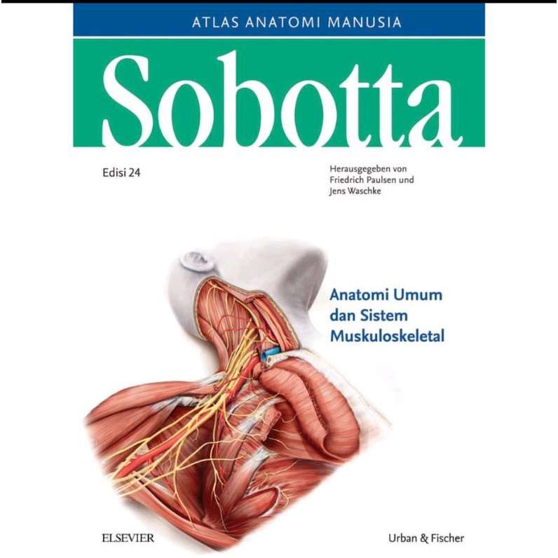 Sobotta - edisi 24