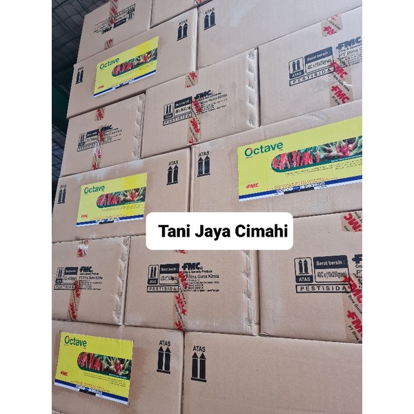 Fungisida Octave 250 gr