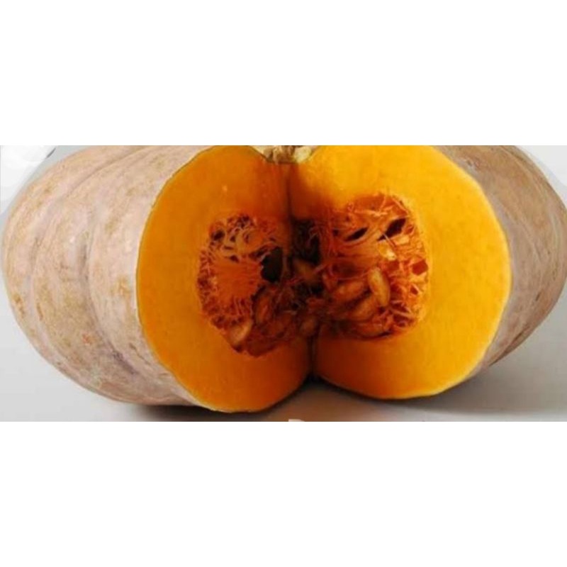 

Labu Parang / sd 800gr
