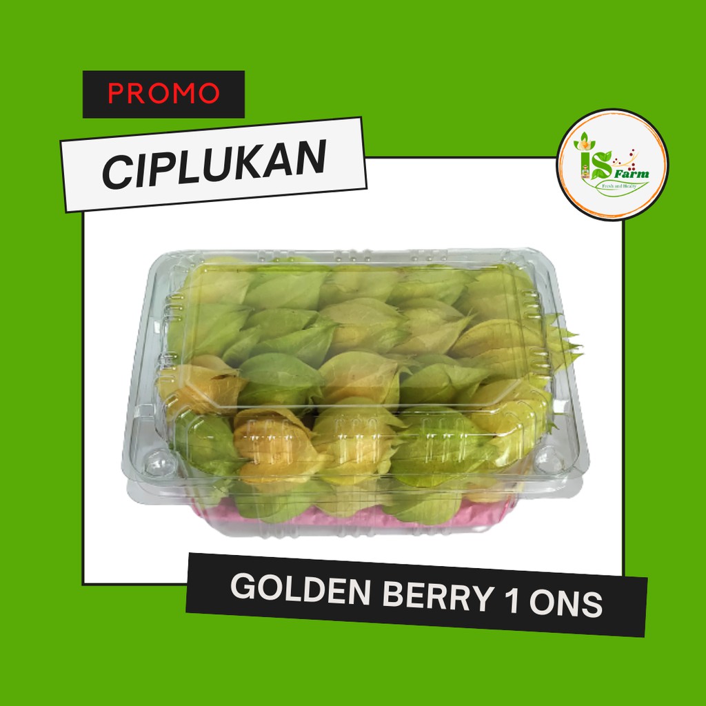 

Buah Ciplukan / Golden Berry 1 Ons / 100 Gram. Promo dijamin paling murah silahkan bandingkan