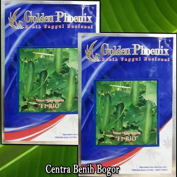 Produk Ready Benih Bibit Timun F1 Rio Isi 10 Gram - Bibit Mentimun