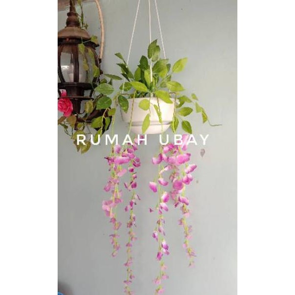 0BT Bunga Wisteria / bunga Wisteria gantung / bunga gantung wisteria ➲ (Readystock)