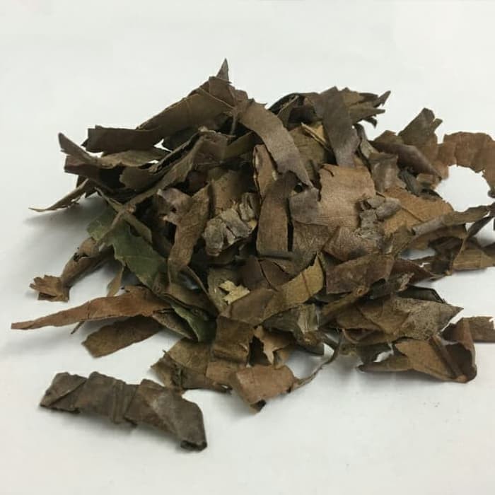 

100 G GR GRAM PI PA YE LOQUAT LEAF LEAVES FOLIUM ERIOBOTRYAE