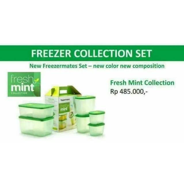 Fresh mint tupperware