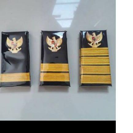 Tidak Diragukan.. evolet pelaut