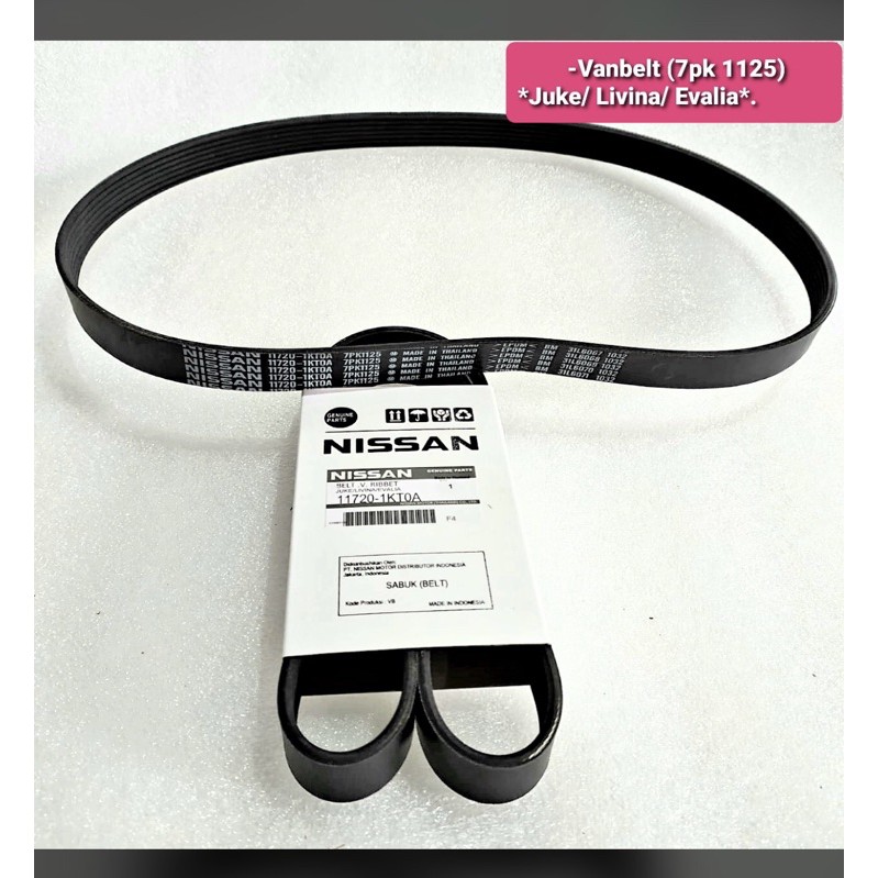 Vant Belt Evalia 7pk1125
