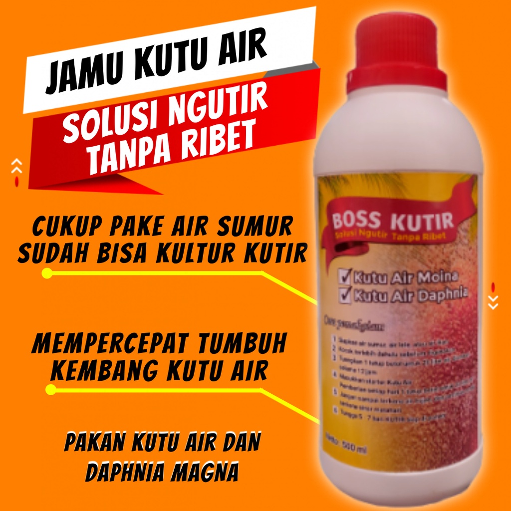 PAKAN KUTU AIR CUPANG JAMU KUTIR GREEN WATER CHORELLA DAN KOHE PUYUH BURAYAK IKAN HIAS CUPANG GUPPY