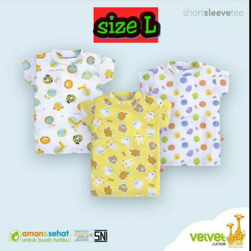 velvet junior short sleeve tee 3 pcs