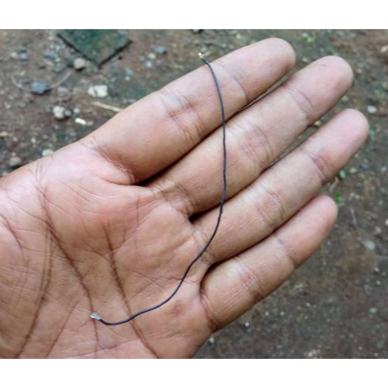 antena sinyal redmi 8 lite copotan original